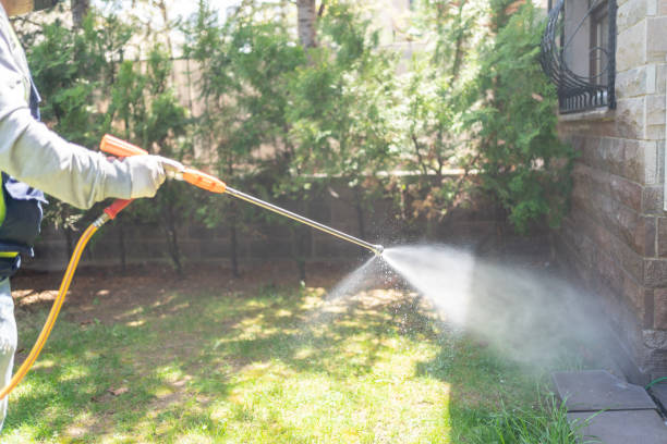 Best Pest Prevention Services  in Middletown, NY