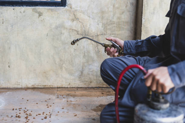 Professional Pest Control in Middletown, NY