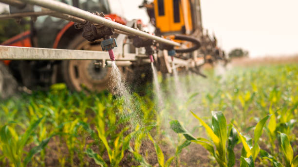 Best Commercial Pest Control Services  in Middletown, NY