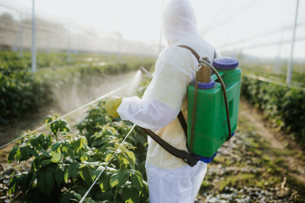 Professional Pest Control in Middletown, NY